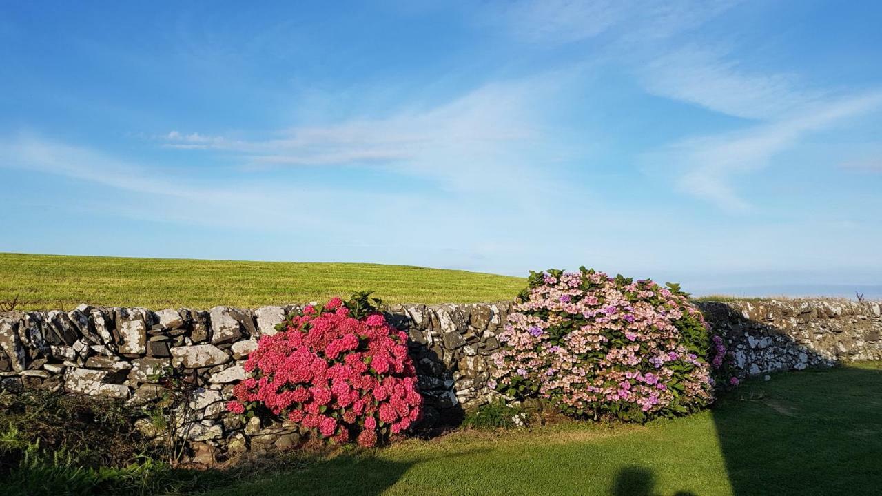 31 Laigh Isle Villa Isle of Whithorn Bagian luar foto